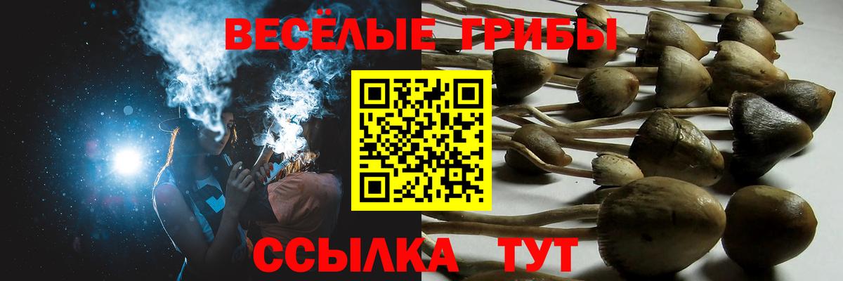 Галлюциногенные грибы GOLDEN TEACHER  Псилоцибиновые грибы мухоморы  Фурманов  Вход с VPN 